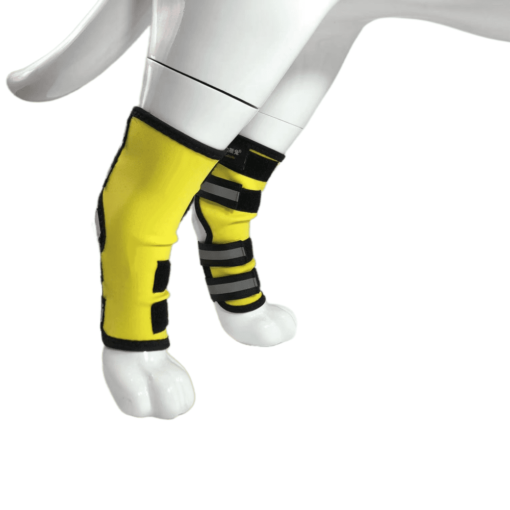 Best Dog Rear Leg Hock Brace For Sale | LOVEPLUSPET
