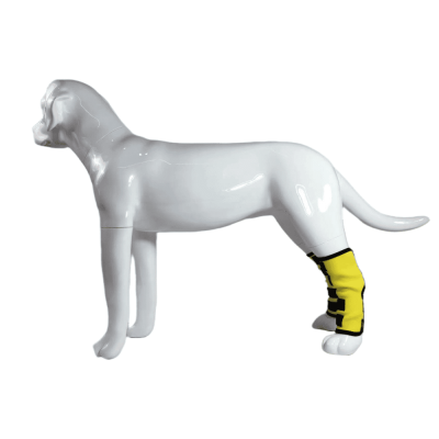Best Dog Rear Leg Hock Brace For Sale | LOVEPLUSPET