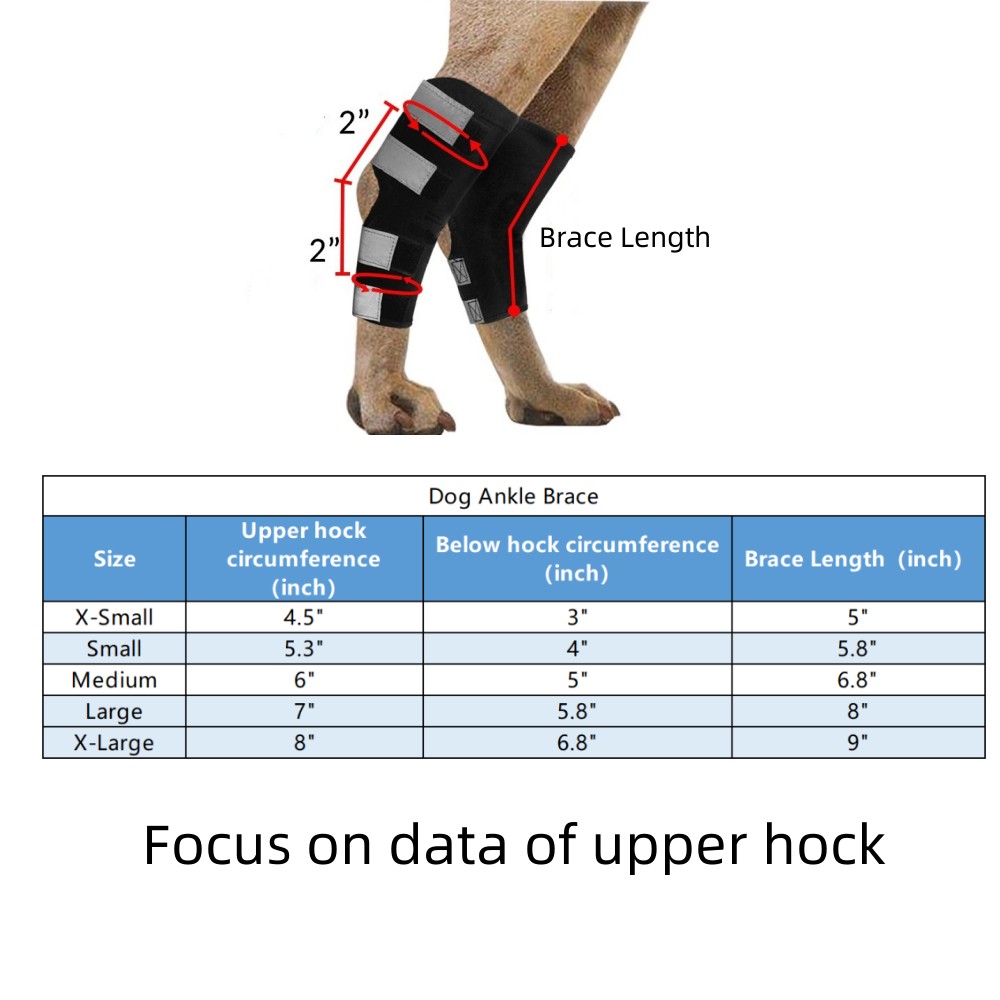 Best Dog Ankle Brace For Sale | LOVEPLUSPET