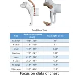 Best Dog Elbow Wrap For Sale | LOVEPLUSPET