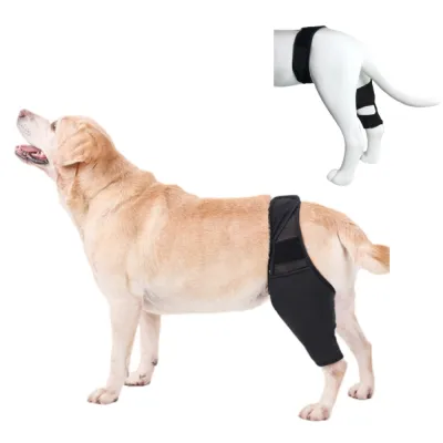 Dog Knee Brace For Torn Acl 01