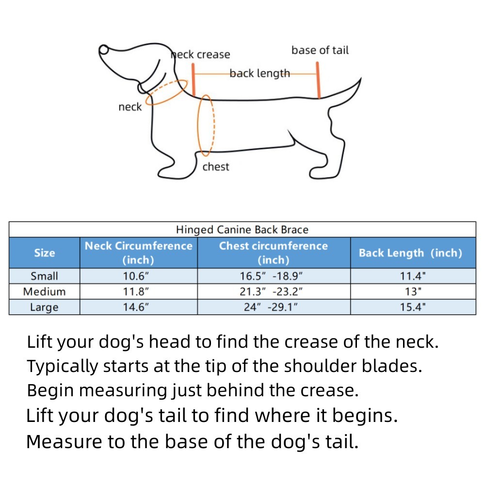 Best Back Brace For Dogs With IVDD For Sale | Lovepluspet