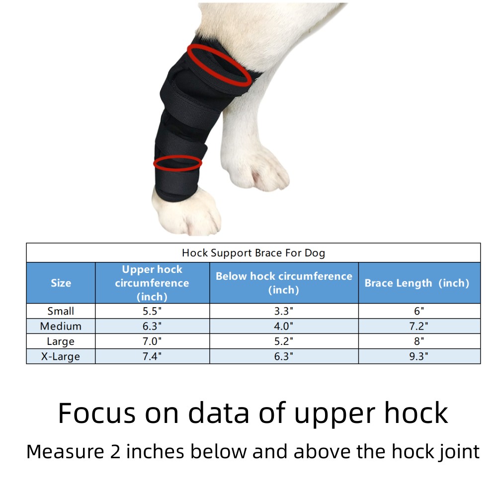 Best Dog Hock Support Brace For Sale | LOVEPLUSPET