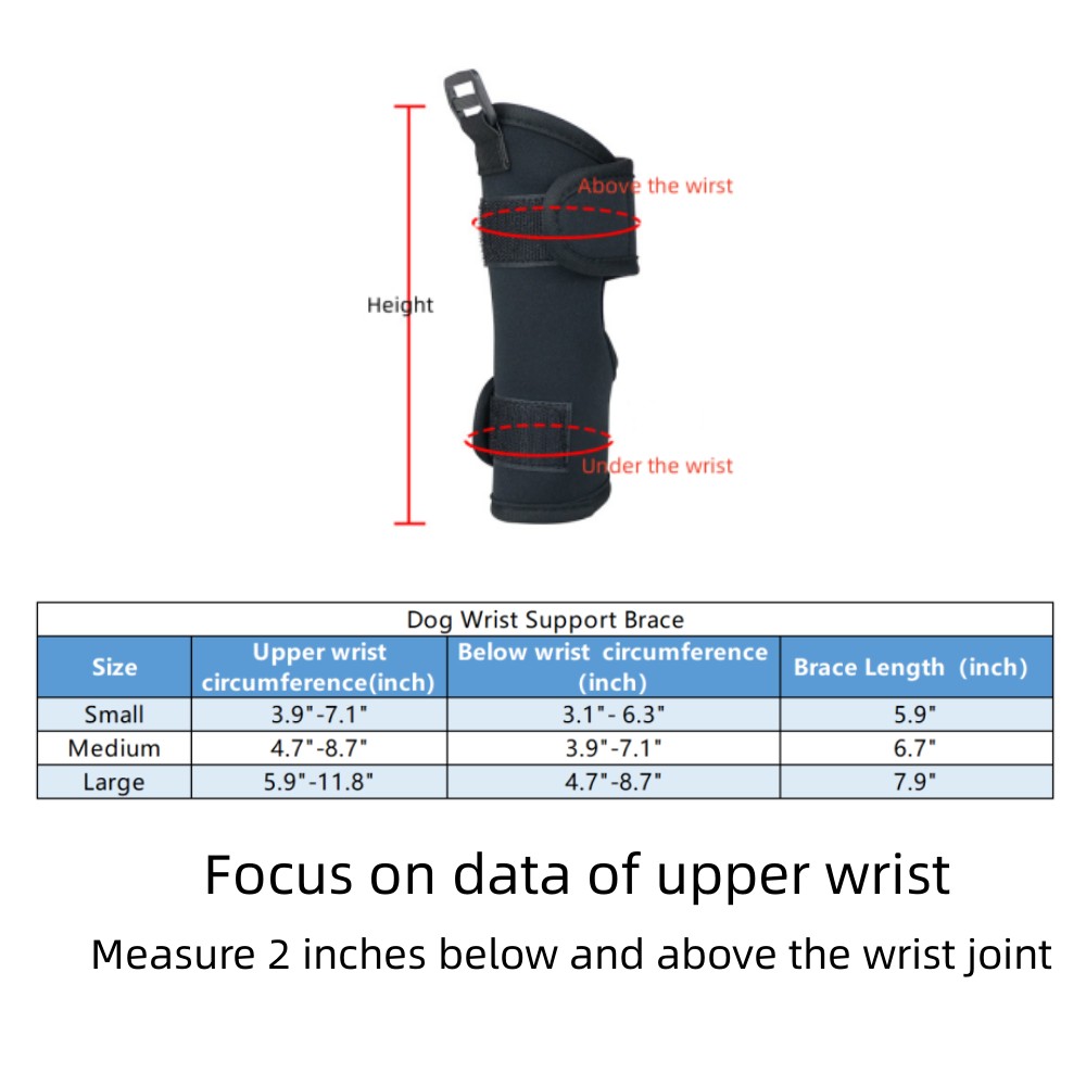 Best Dog Wrist Support For Arthritis For Sale | LOVEPLUSPET