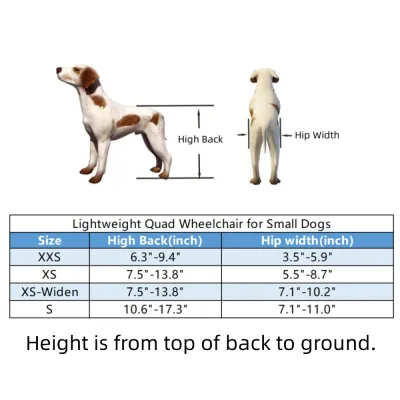 Best Quad Wheelchair for Small Dogs | LOVEPLUSPET