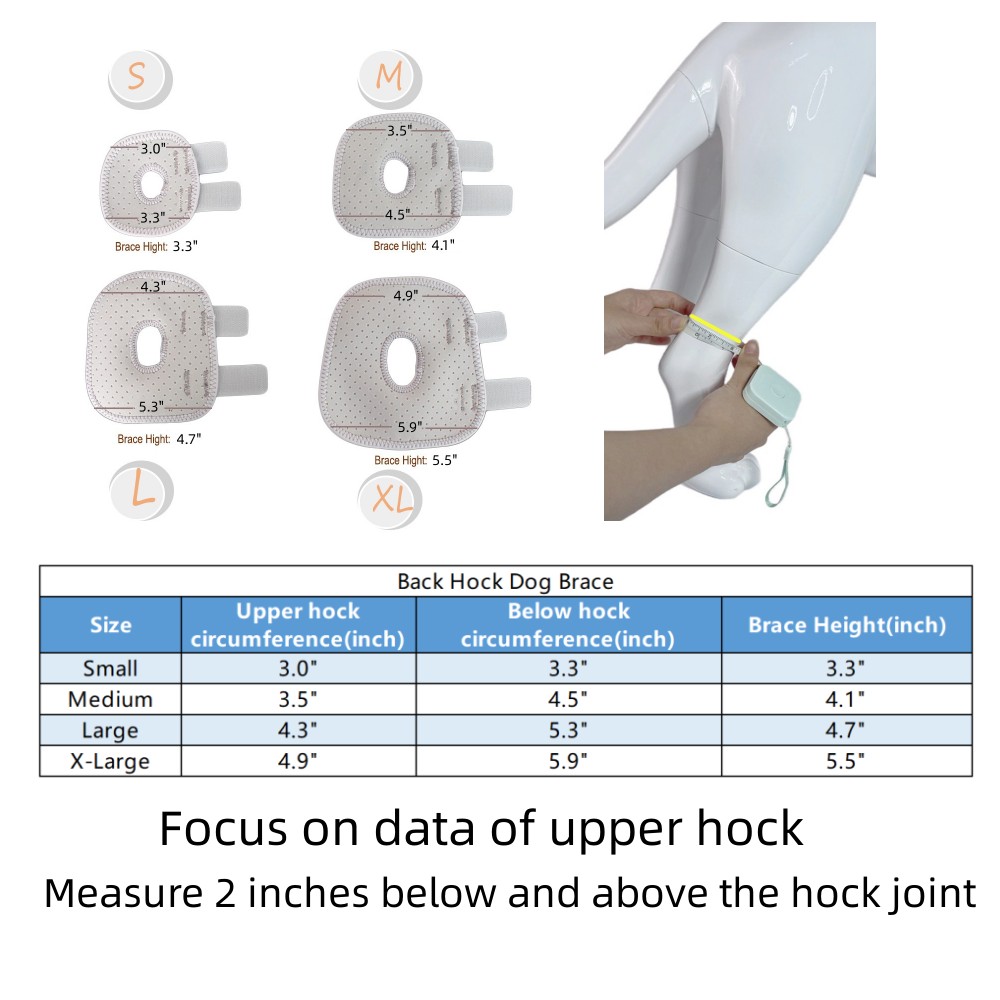 Best Back Hock Dog Brace For Sale | LOVEPLUSPET
