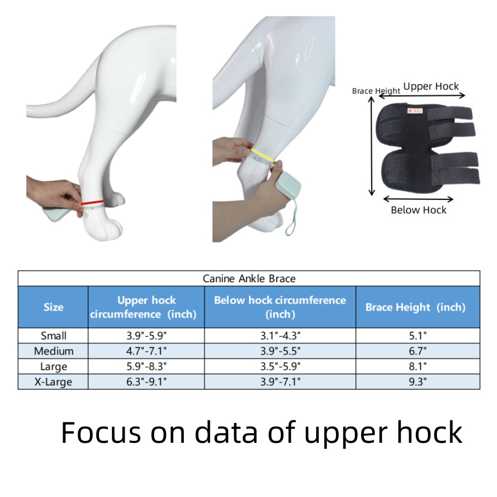 Best Canine Ankle Brace For Sale | LOVEPLUSPET