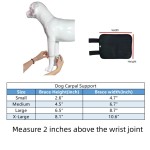 Best Dog Carpal Wraps Support For Sale | LOVEPLUSPET