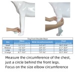 Best Dog Front Shoulder Brace For Sale | LOVEPLUSPET