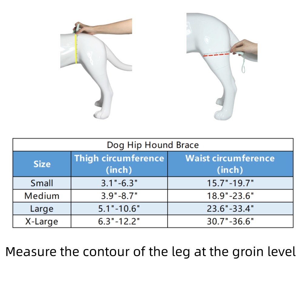 Best Dog Hip Hound Brace For Sale | LOVEPLUSPET