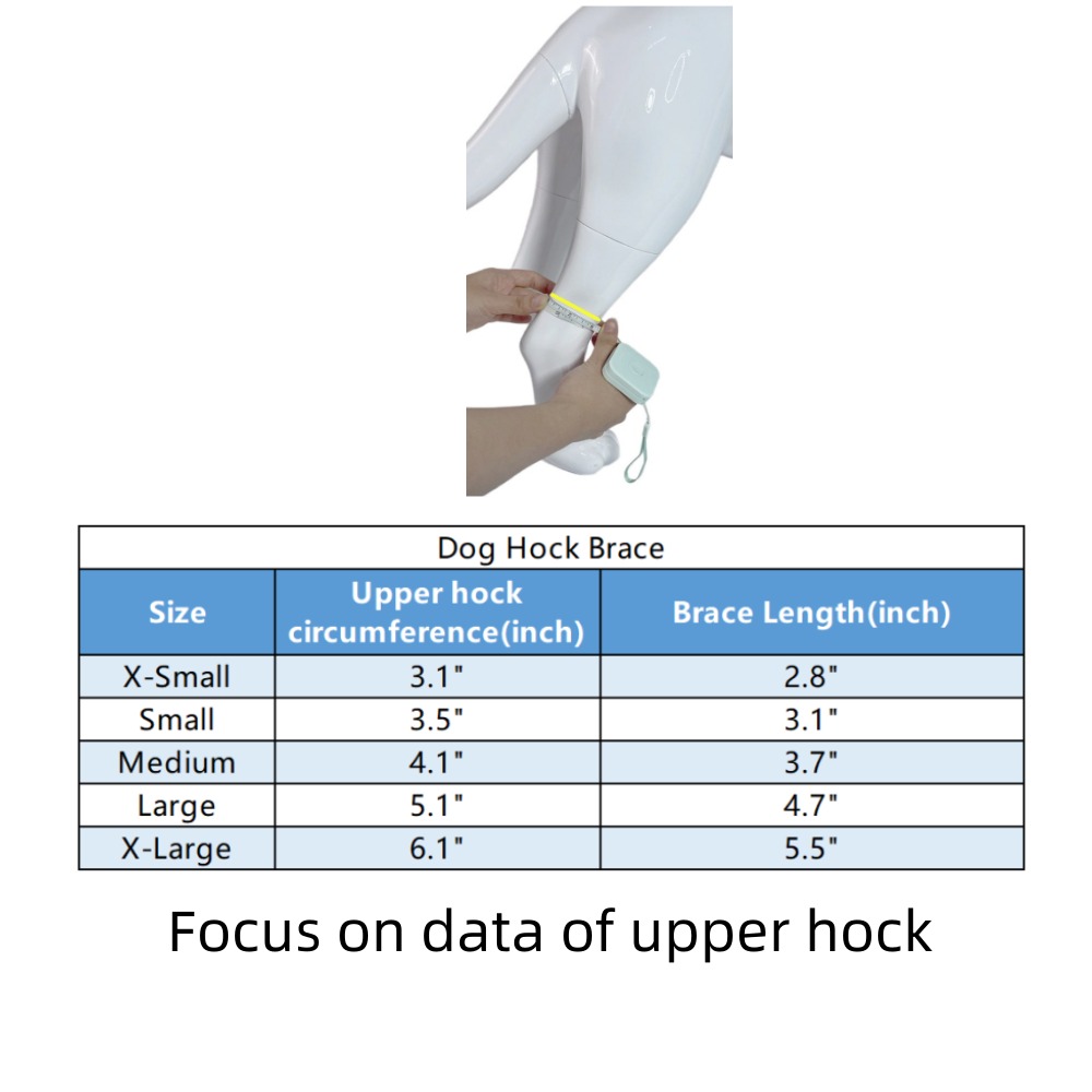 Best Dog Hock Brace For Sale | LOVEPLUSPET