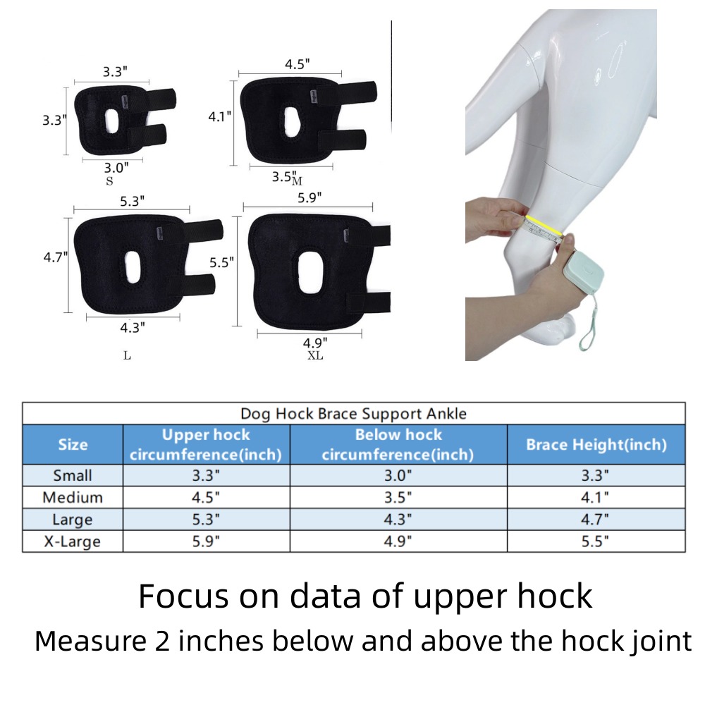 Best Hock Support Brace For Dogs | Canine Ankle Brace For Sale | LOVEPLUSPET