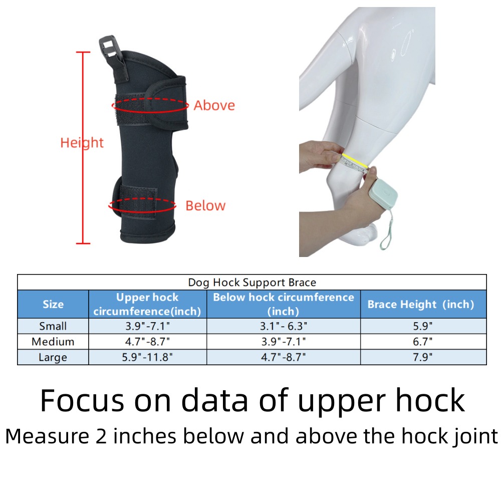 Best Dog Hock Support Brace For Sale LOVEPLUSPET