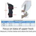 Best Dog Hock Support Brace For Sale | LOVEPLUSPET