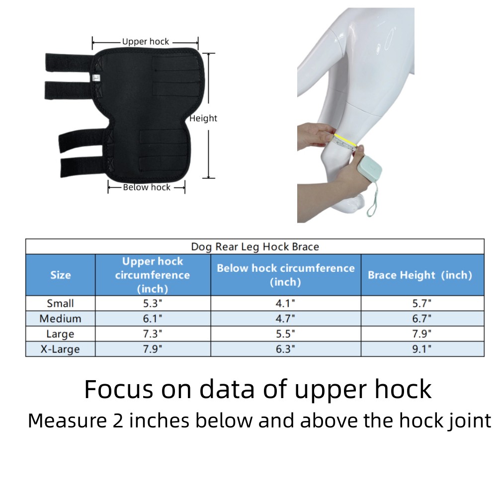 Best Dog Rear Leg Hock Brace For Sale | LOVEPLUSPET