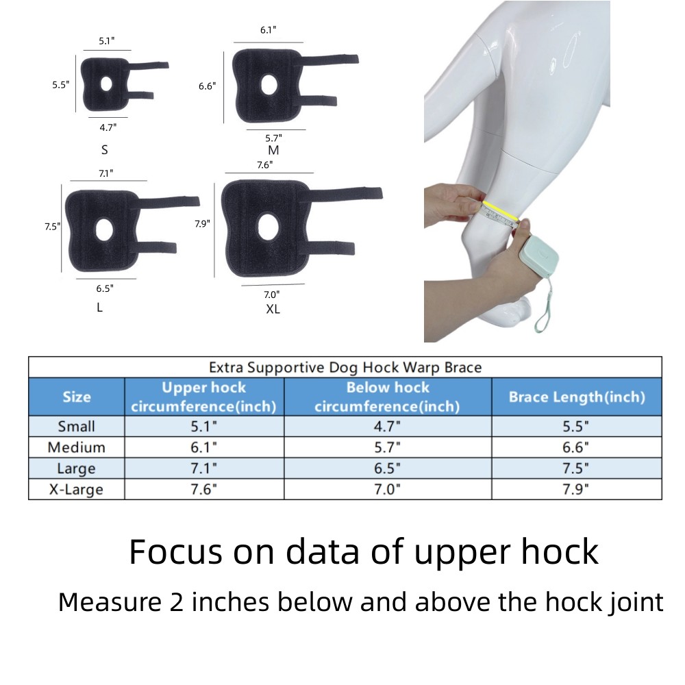 Best Extra Supportive Dog Hock Wrap For Sale | LOVEPLUSPET