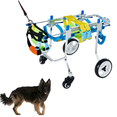 4 Wheel Big Dog Wheelchair