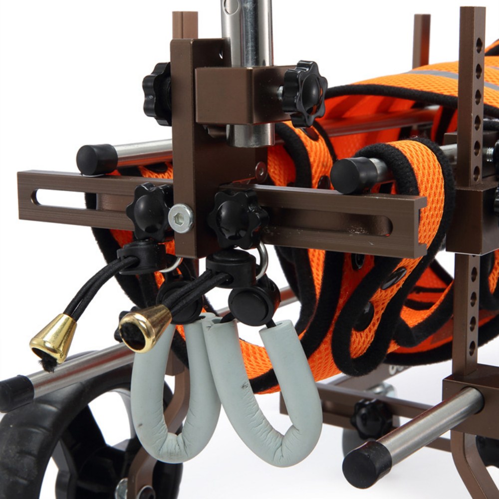 Best Full Support Wheelchair for Small Dogs | LOVEPLUSPET