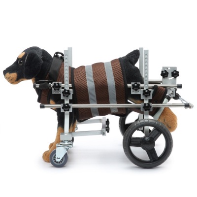 Full Support Wheelchair for Small Dogs