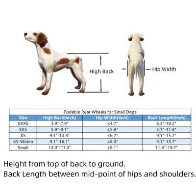 Best Rear Wheels for Small Dogs | LOVEPLUSPET