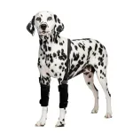 Best Dog Wrist Support For Arthritis For Sale | LOVEPLUSPET