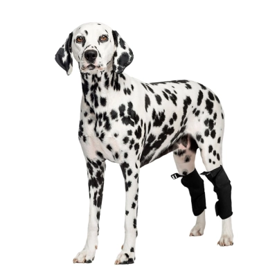 Dog Hock Support Brace 01