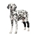 Dog Hock Support Brace