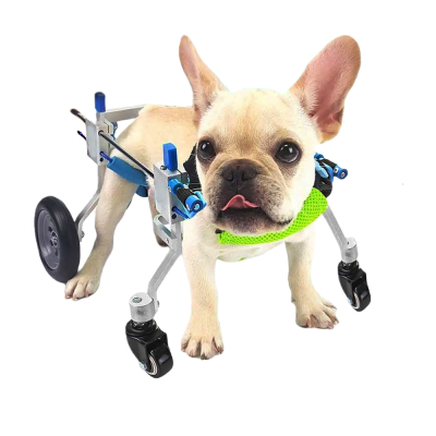 Lightweight Quad Wheelchair for Small Dogs