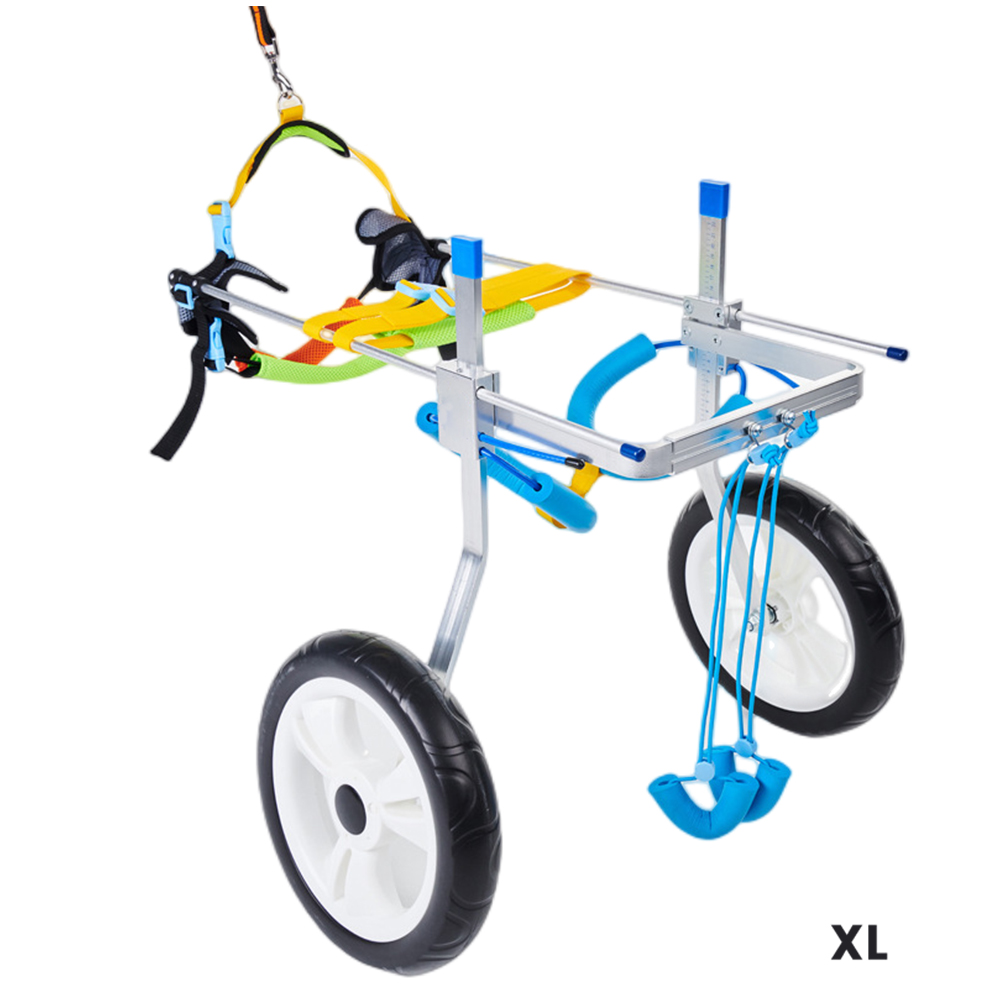 Best Medium & Large Dog Wheelchair for Back Legs | LOVEPLUSPET