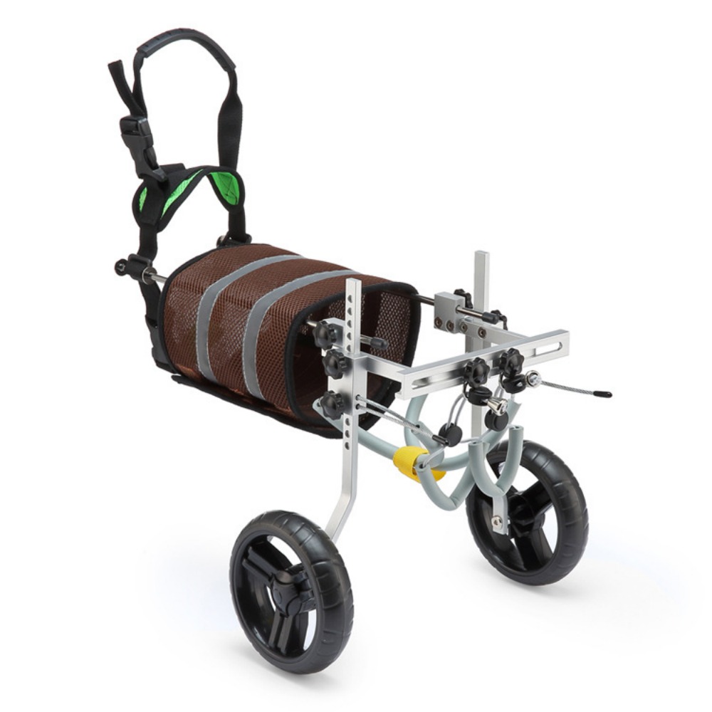 Best Small Dog Back Leg Support Wheels for Sale | LOVEPLUSPET