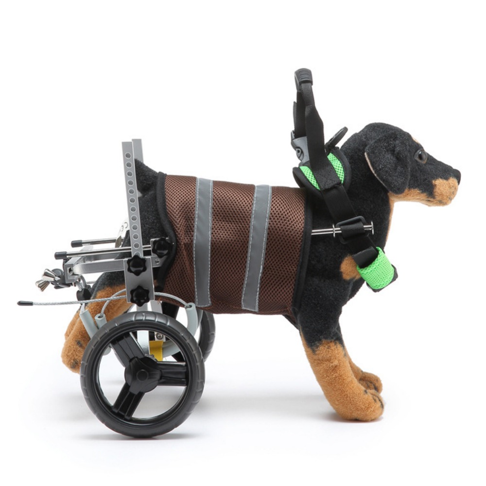 Best Small Dog Back Leg Support Wheels for Sale LOVEPLUSPET