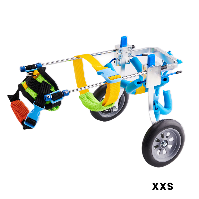 Best Small Dog Wheels for Hind Legs | LOVEPLUSPET