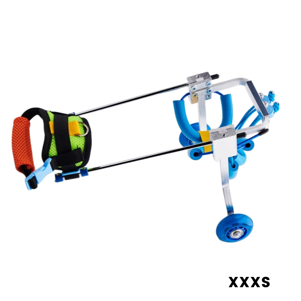 Best Small Dog Wheels for Hind Legs | LOVEPLUSPET