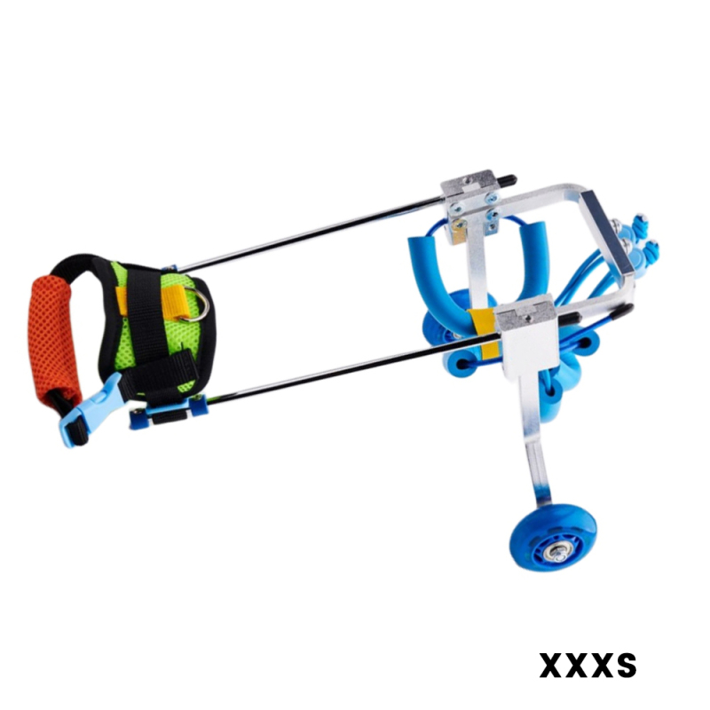 Best Small Dog Wheels for Hind Legs | LOVEPLUSPET