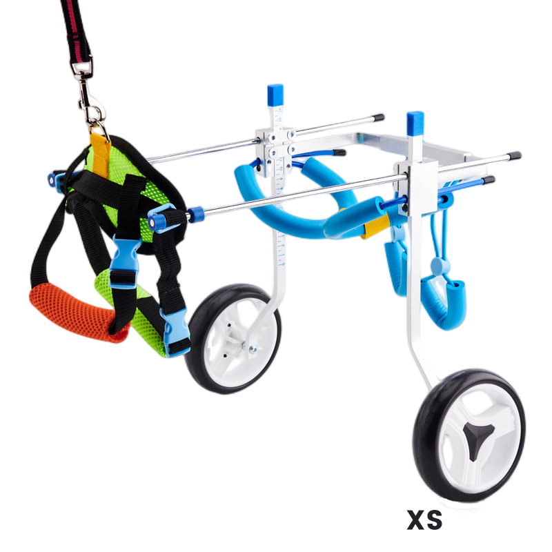 Best Small Dog Wheels for Hind Legs | LOVEPLUSPET