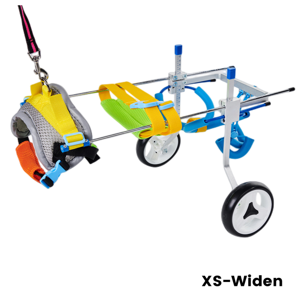 Best Small Dog Wheels for Hind Legs | LOVEPLUSPET