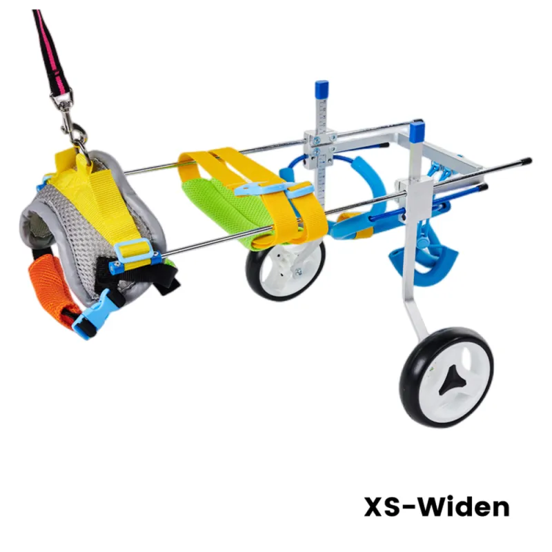 Best Small Dog Wheels for Hind Legs | LOVEPLUSPET