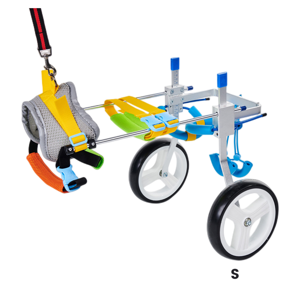 Best Small Dog Wheels for Hind Legs | LOVEPLUSPET