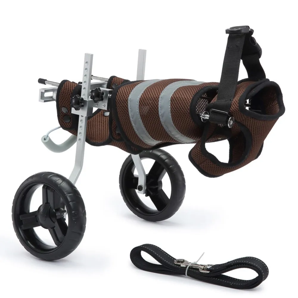 Best Small Rear Support Dog Wheelchair For Sale | LOVEPLUSPET