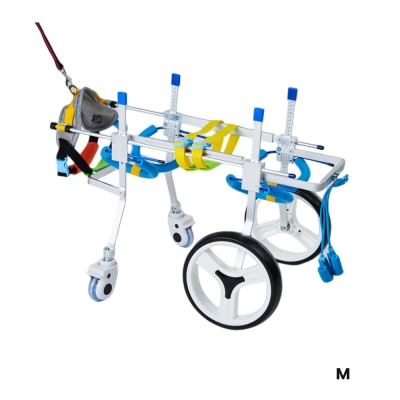 4 Wheel Big Dog Wheelchair 02