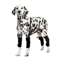 Best Dog Wrist Support For Arthritis For Sale | LOVEPLUSPET