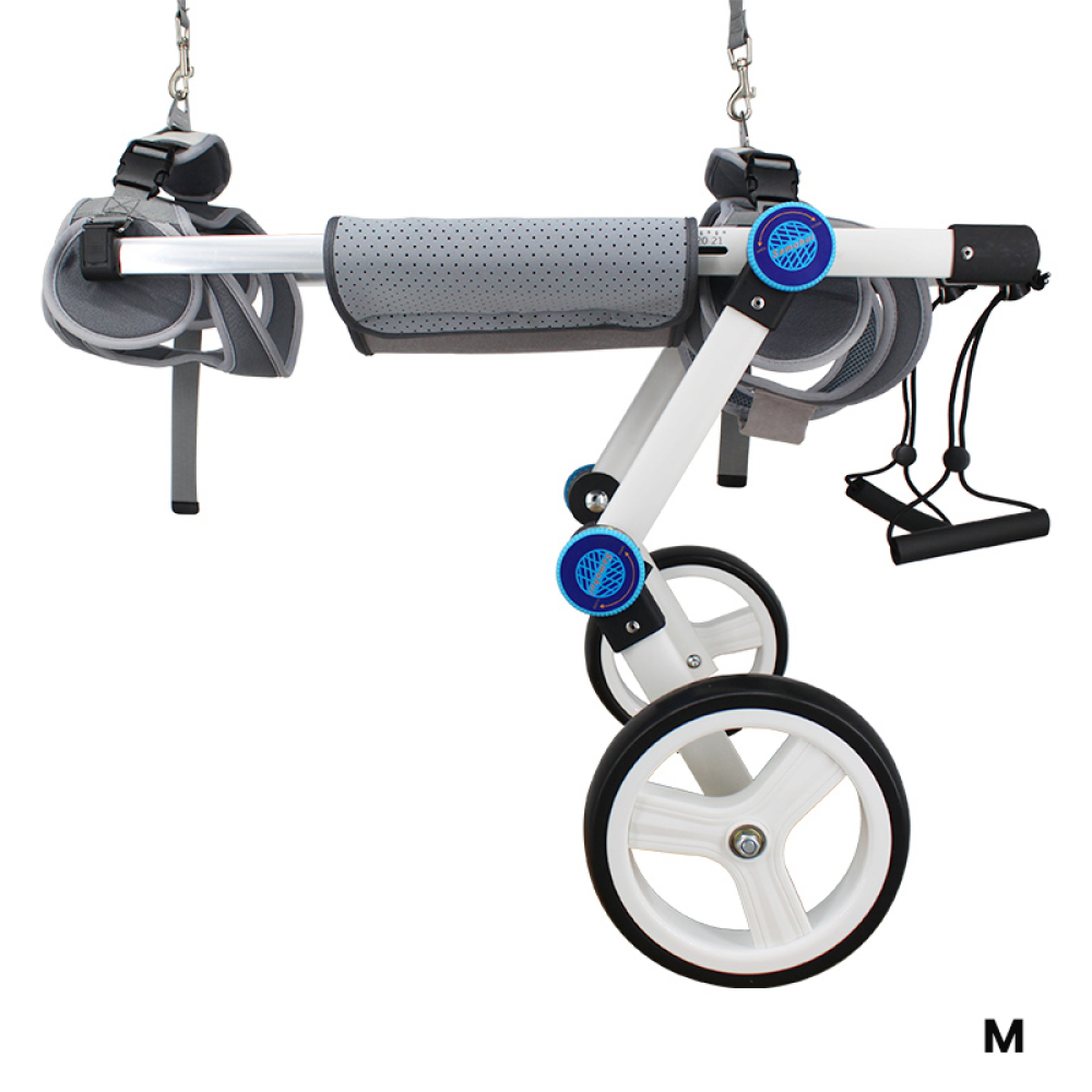 Best Paralyzed Large Dog Wheelchair for Back Legs | LOVEPLUSPET