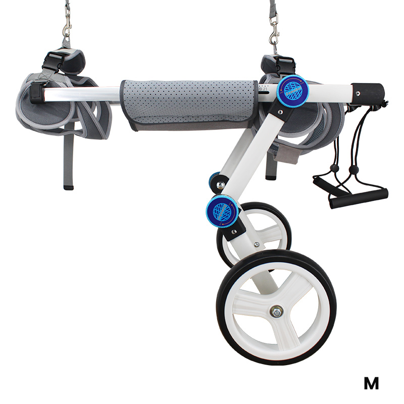 Best Paralyzed Large Dog Wheelchair for Back Legs | LOVEPLUSPET