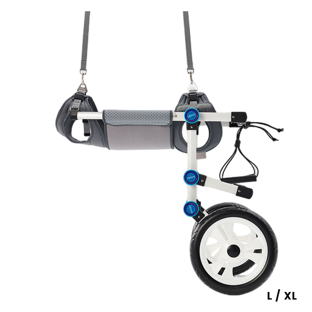 Best Paralyzed Large Dog Wheelchair for Back Legs | LOVEPLUSPET
