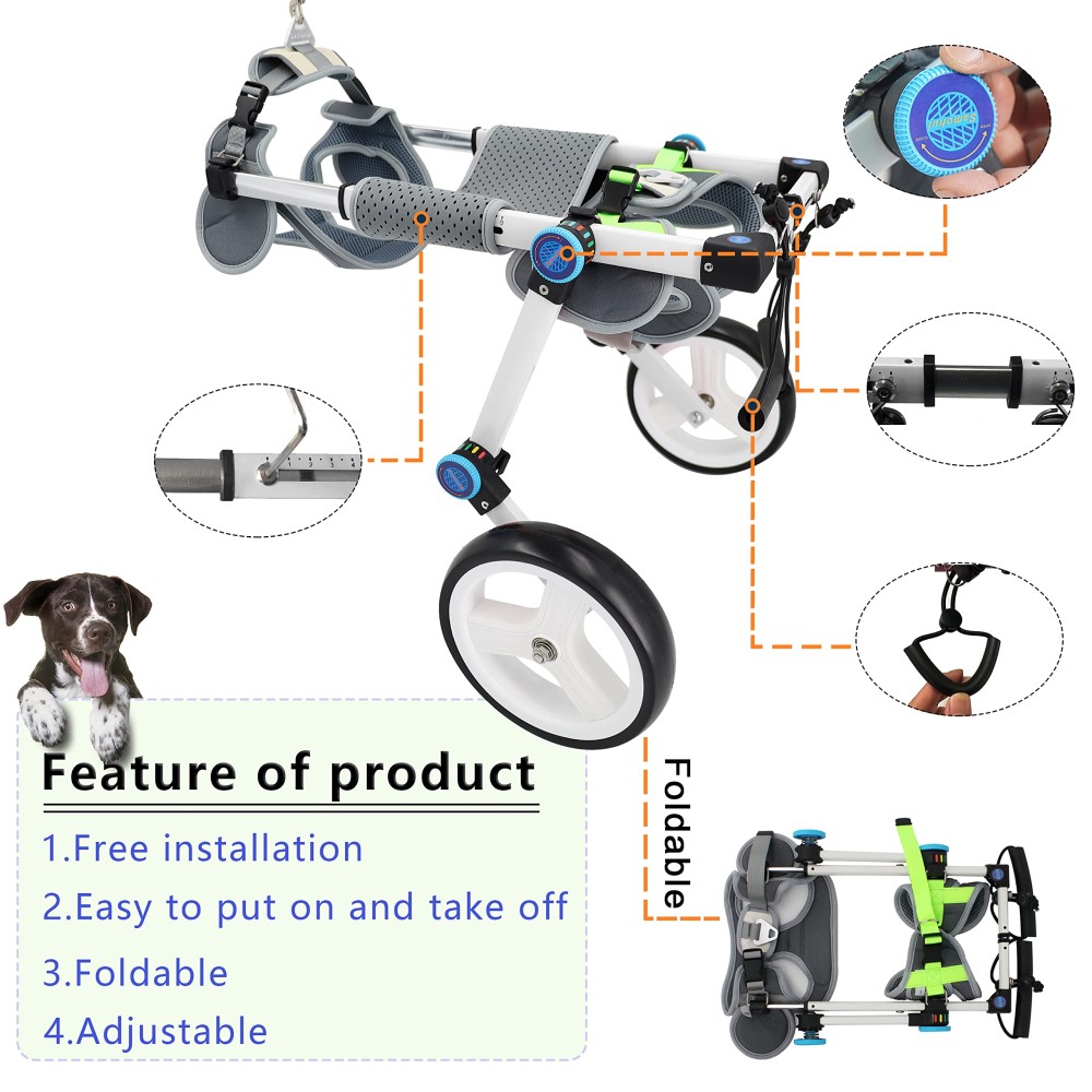 Best Paralyzed Large Dog Wheelchair for Back Legs | LOVEPLUSPET