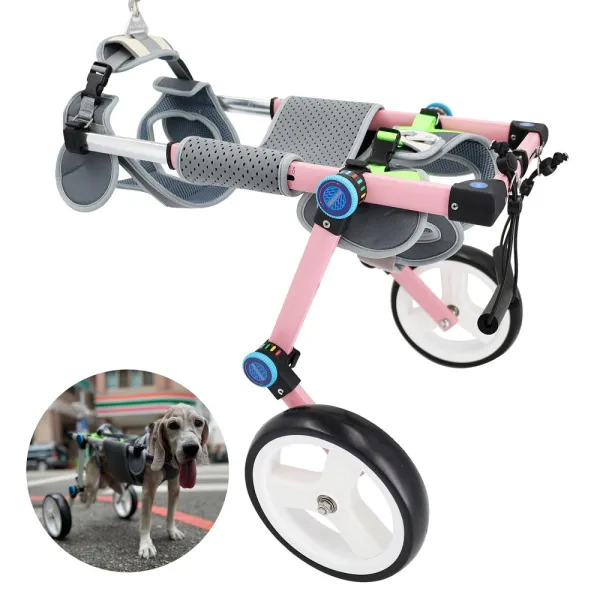Best Paralyzed Large Dog Wheelchair for Back Legs | LOVEPLUSPET