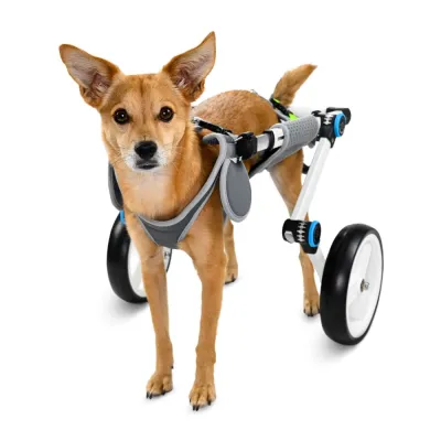 Fodable Large Dog Wheelchair for Back Legs 01