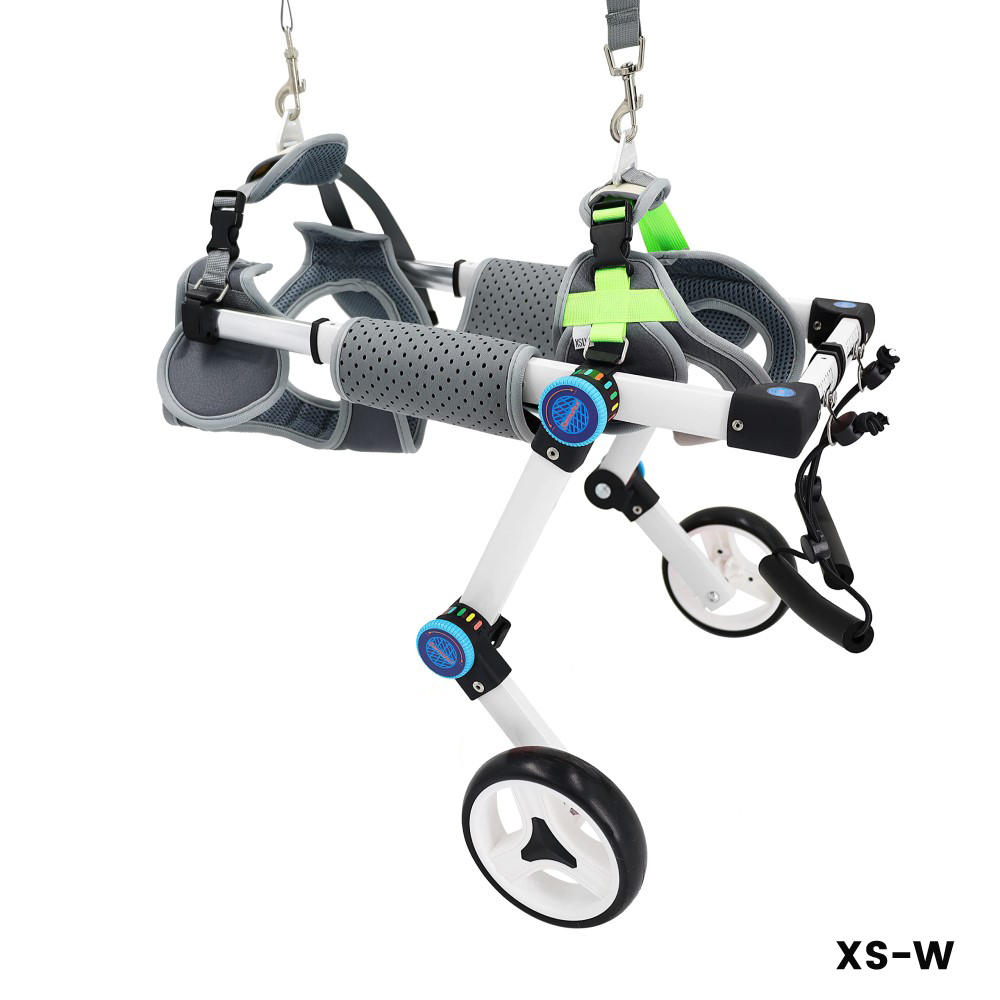 Best Rear Wheels for Small Dogs | LOVEPLUSPET