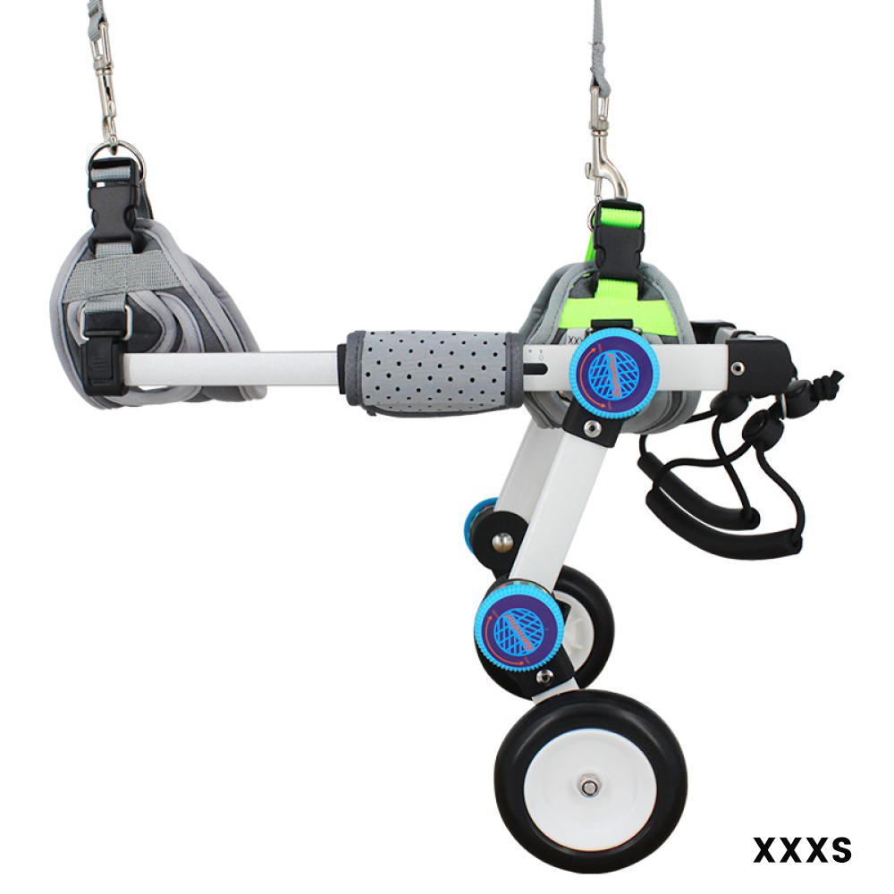 Best Rear Wheels for Small Dogs | LOVEPLUSPET