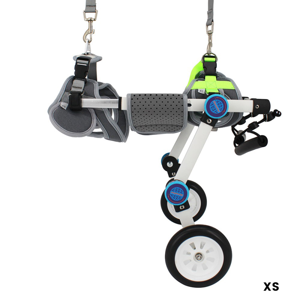 Best Rear Wheels for Small Dogs | LOVEPLUSPET